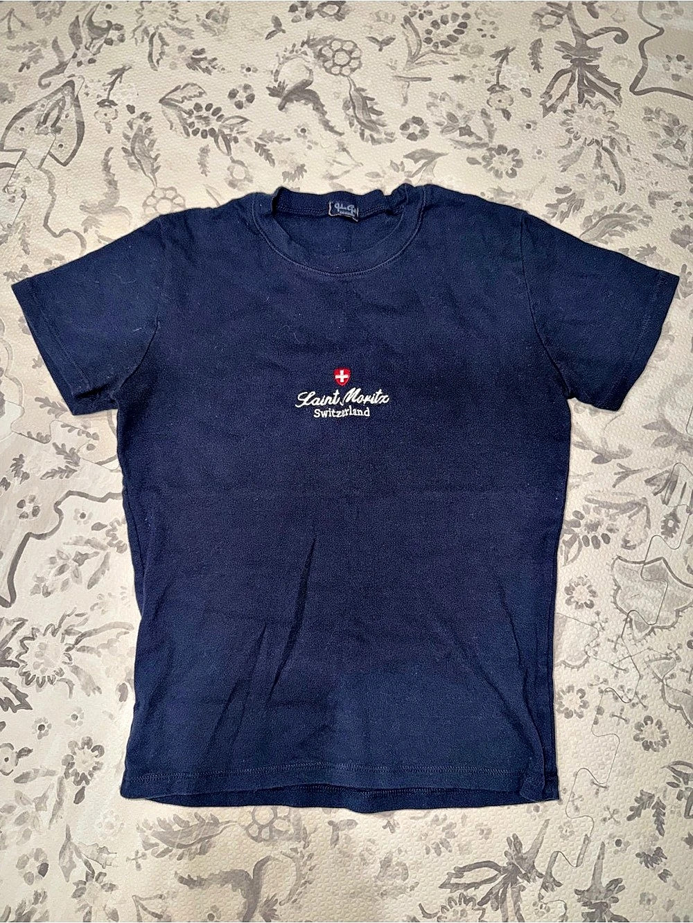 Brandy Melville Saint-Maurice Switzerland Short Sleeve Graphic Tee in Blue